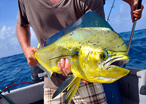 peche au gros ile maurice